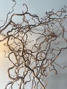 a vase filled with branches on top of a table