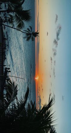 the sun is setting over the ocean with palm trees