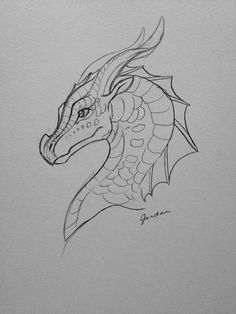 a pencil drawing of a dragon head