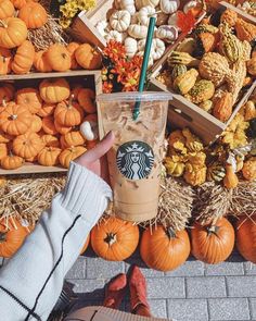 someone holding up a starbucks cup in front of pumpkins