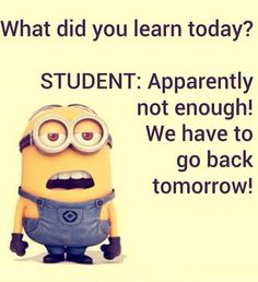 a minion with an expression that reads, what did you learn today? student apparently not enough we have to go back tomorrow