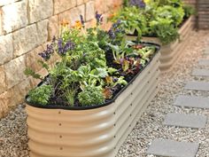 an assortment of plants are growing in a planter