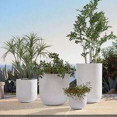 three white planters sitting on top of a cement slab