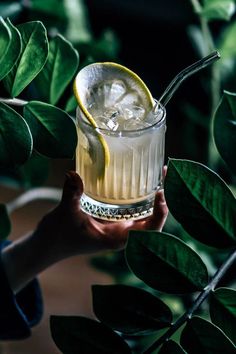 a person holding a glass with a lemon slice in it and ice on the rim