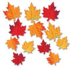 many different colored leaves on a white background