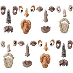 an assortment of different types of animal heads with eyes and nose shapes, including noses