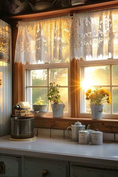 the sun shines through the kitchen window and onto the counter top with flowers in pots on it