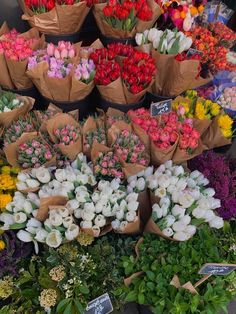 a bunch of flowers that are sitting on the ground in front of each other with price tags