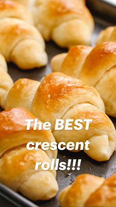 freshly baked croissants sitting on a baking sheet ready to go into the oven