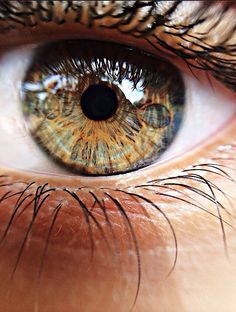 a close up view of an eye with the iris partially closed and showing long eyelashes