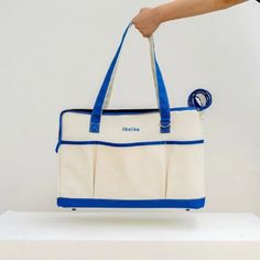 a person holding a white and blue bag