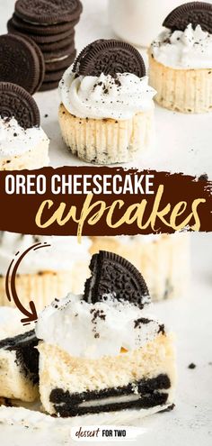 These oreo cheesecake cupcakes are bite size, and they only require 5 ingredients! Just chocolate sandwich cookies, softened cream cheese, an egg, sugar and vanilla, and you're on your way to mini cheesecake heaven. Cheesecake Oreo Cupcakes, Oreo Cheesecake Cupcakes No Bake, Oreo Mini Cheesecake, Easy Oreo Cheesecake Cupcakes, Mini Cheesecake Recipes Oreo, Oreo Bottom Cheesecake Cupcakes, Oreo Cheesecake Cupcakes, Cheesecake Cupcakes Recipe