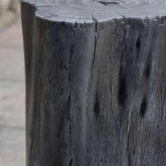 a bird perched on top of a tree stump