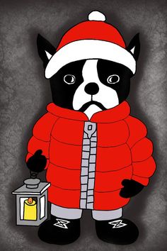 a black and white dog wearing a red jacket with a lantern in front of it