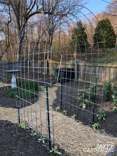 the garden is full of plants and dirt