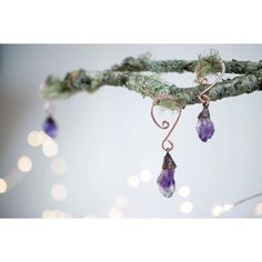 a branch with some kind of wire hanging from it's end and two small amethysts attached to it