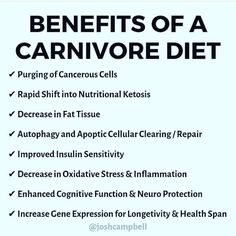 Carnivore Diet For Beginners Recipes, Carnivore Before And After Pictures, Carnivores Diet, Ketovore Recipes, Reduce Inflammation Natural Remedies, Ketovore Diet, Carnivore Ideas, Bear Diet