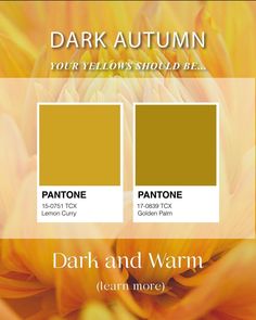 the pantone color chart for dark and warm colors, with yellows in them