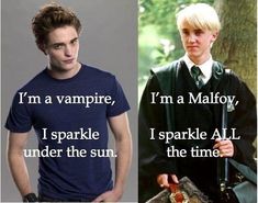 draco malfoy and Edward collen Harry Potter Esprileri, Twilight Harry Potter, Harry Potter Humor, Harry Potter Vs Twilight, Citate Harry Potter, Glume Harry Potter, Funny Harry Potter Jokes, Harry Potter Memes Hilarious