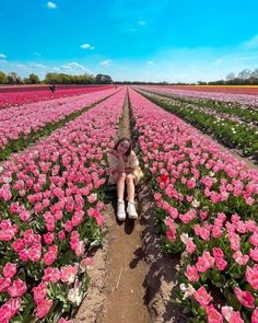 Small Widget, Tulips Images, Summer Instagram Pictures, Carlsbad Flower Fields, Pretty Vibes, Tulip Field, Spring Portraits, Summer Picture Poses, Flower Photoshoot