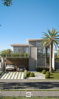 a modern house with palm trees in the front yard and landscaping on the other side