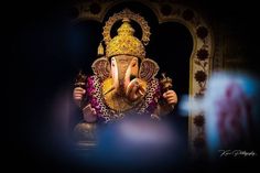 an elephant statue sitting in the middle of a dark room