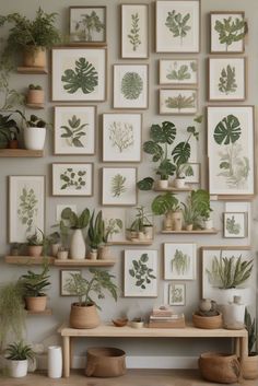 a wall filled with potted plants and framed pictures on the wall above it is a wooden table