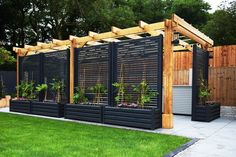 an outdoor garden area with wooden fence and plants on the sides, surrounded by green grass