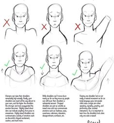 how to draw the head and shoulders in 3 easy steps step by step drawing for beginners