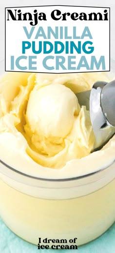 vanilla pudding ice cream in a bowl with a spoon