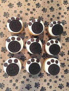 cupcakes with chocolate and white frosting decorated to look like paw prints