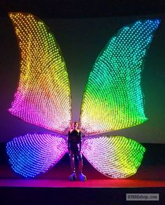 a person standing in front of a colorful butterfly sculpture with lights on it's wings