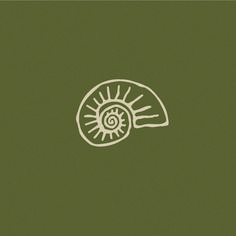 an image of a snail that is drawn on the side of a green background with white lines