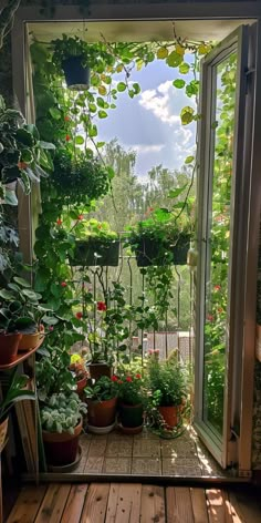 an open window with potted plants on the outside and in between it is a wooden deck