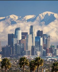 the city is surrounded by palm trees and snow capped mountains in the backgroud