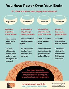 Brain Chemicals, Brain Facts, Brain Science, This Is Your Life, Physical Pain, Neurology, Mental And Emotional Health, Health Facts, Healthy Mind