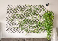 a living room with a couch and a wall mounted planter on it's side