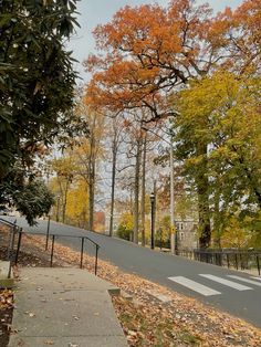 an empty road surrounded by trees with orange and yellow leaves on the ground next to it