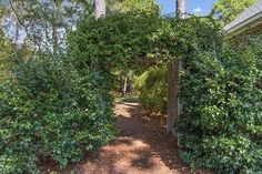 an archway in the middle of some bushes