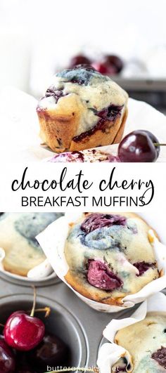 chocolate cherry breakfast muffins with blueberries and cherries on the side in muffin tins