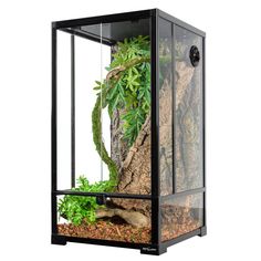 an aquarium filled with plants and rocks on top of a white background for display purposes