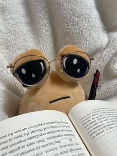 a stuffed animal wearing glasses reading a book