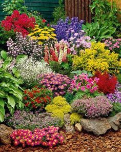 a garden filled with lots of different types of flowers