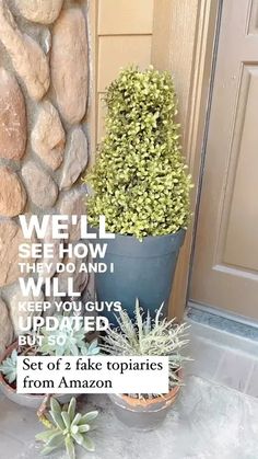 a potted plant sitting next to a stone wall with the words well below it