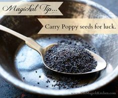 Carry Poppy seeds for luck Poppy Seeds Witchcraft, Poppy Seed Magical Properties, Herb Pantry, Baby Fruit Size, Witchy Corner, Crystal Knowledge, Green Witchery, Kitchen Magick