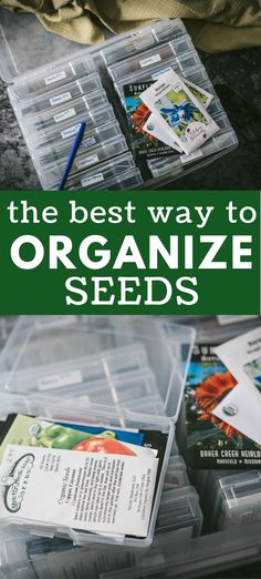 the best way to organize seeds is with clear plastic containers filled with seed packets and cards