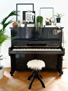 a black piano sitting on top of a hard wood floor next to a potted plant