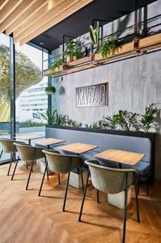 an empty restaurant with wooden tables and plants on the windowsills, along with blue benches