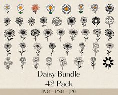 daisy bundle 4 pack svg - png