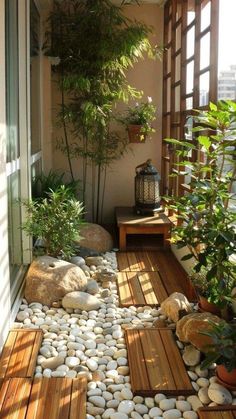 a very nice looking room with some plants and rocks on the floor in front of it